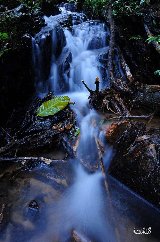 Những d&ograve;ng suối đẹp duy&ecirc;n d&aacute;ng ở T&acirc;y Bắc